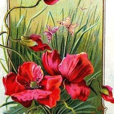 Схема вышивки «Серия "Цветы"»