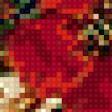 Предпросмотр схемы вышивки «Маки и ромашки» (№45963)
