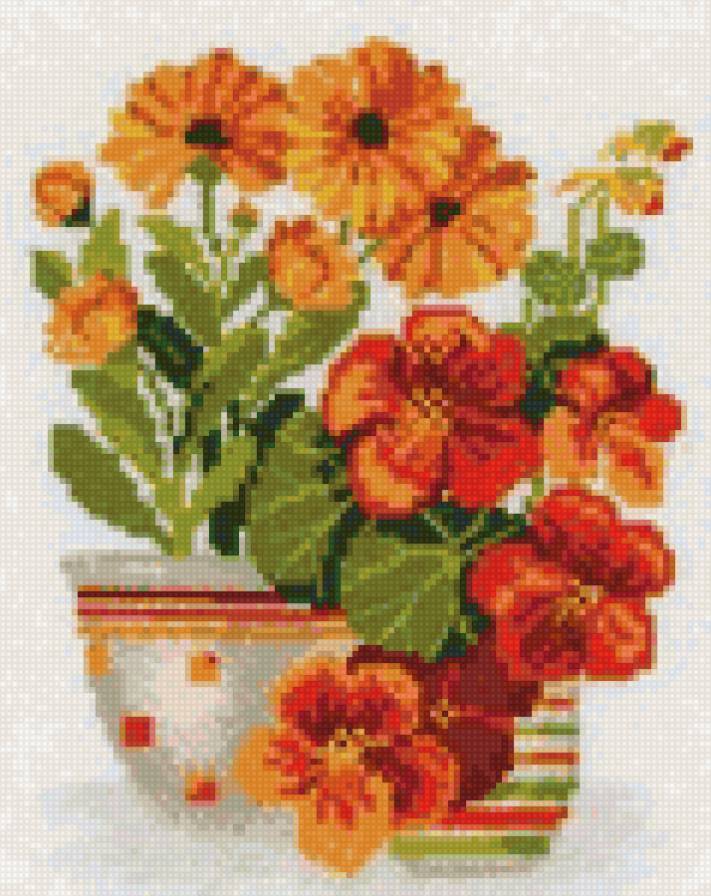 Настурция - букет, настурция, ваза, цветы - предпросмотр