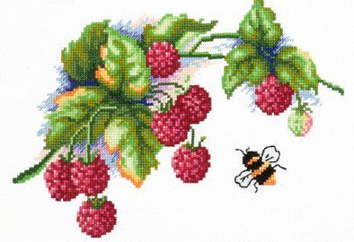 Гроздь малины - ягоды, малина, ветка - оригинал