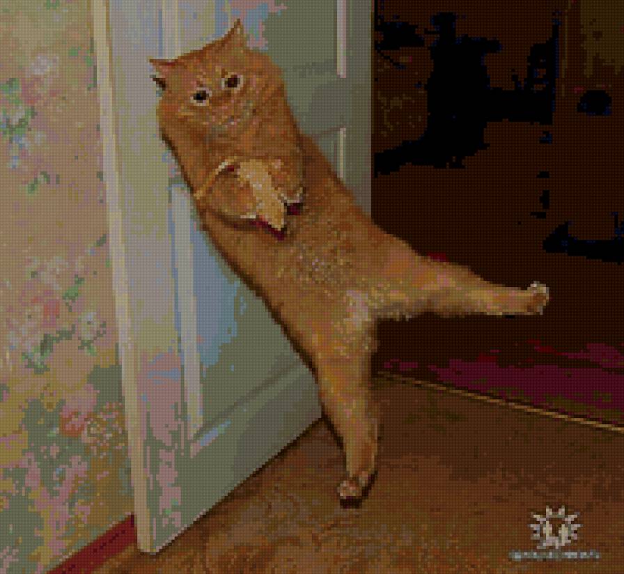 994 - котята, природа, кошки, животные - предпросмотр