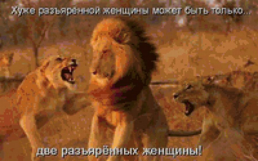 9899 - природа, животные - предпросмотр