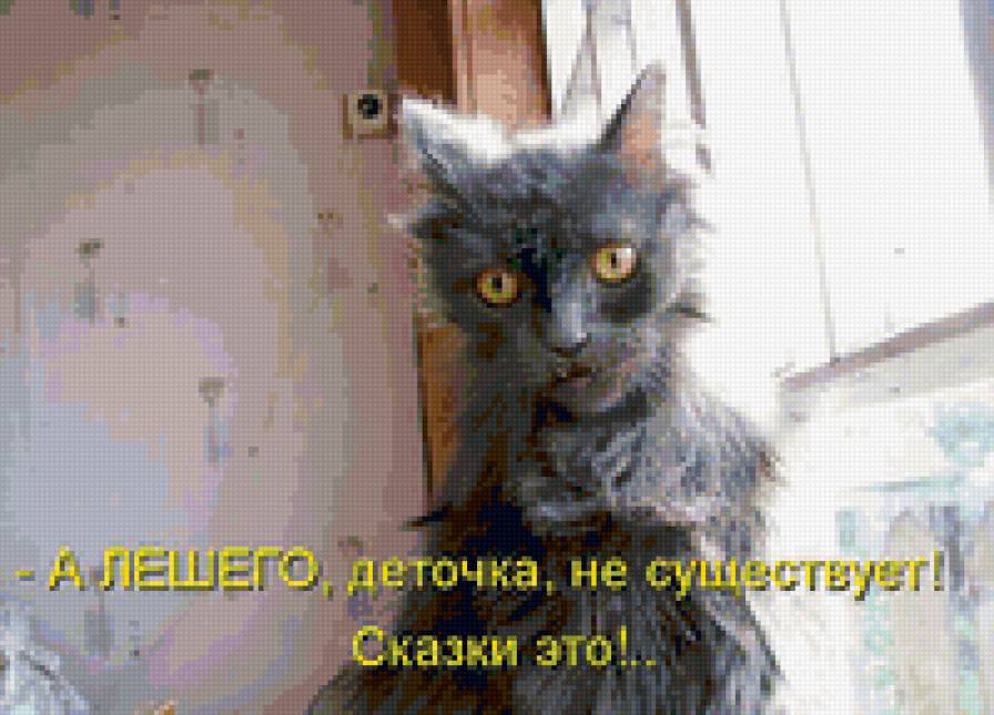 98985 - кошки, котята, животные, природа - предпросмотр