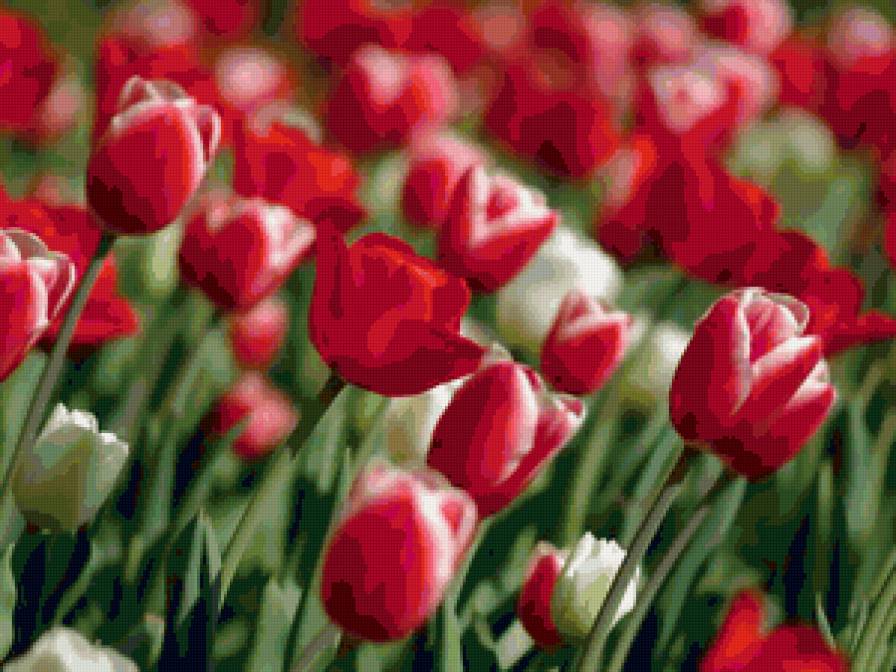 №46104 - предпросмотр