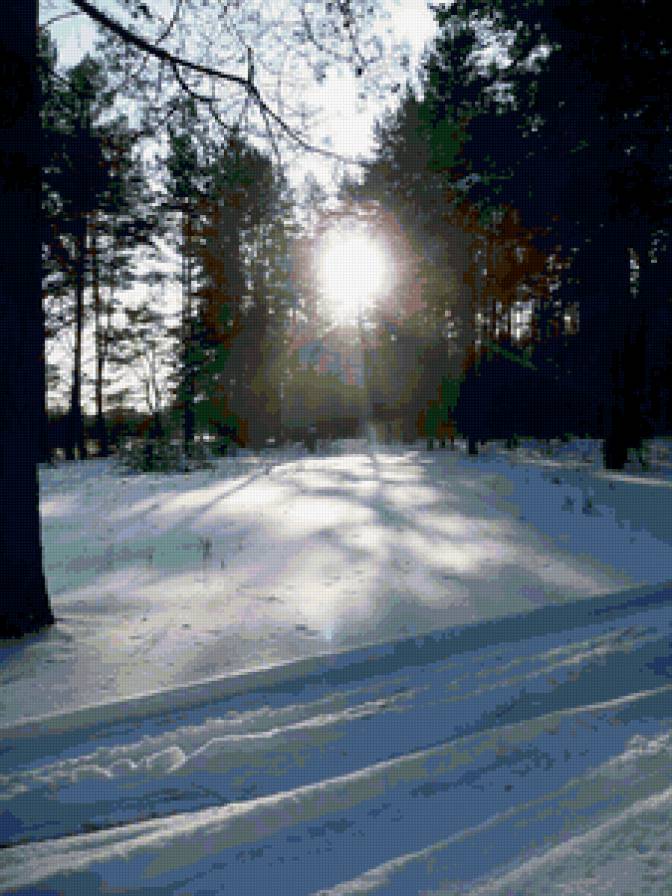 Природа - красота, закат, деревья, снег, зима, солнце, лес - предпросмотр