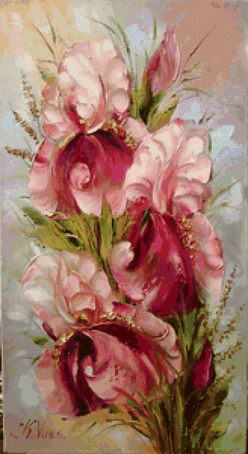 розовые ирисы - цветы - предпросмотр