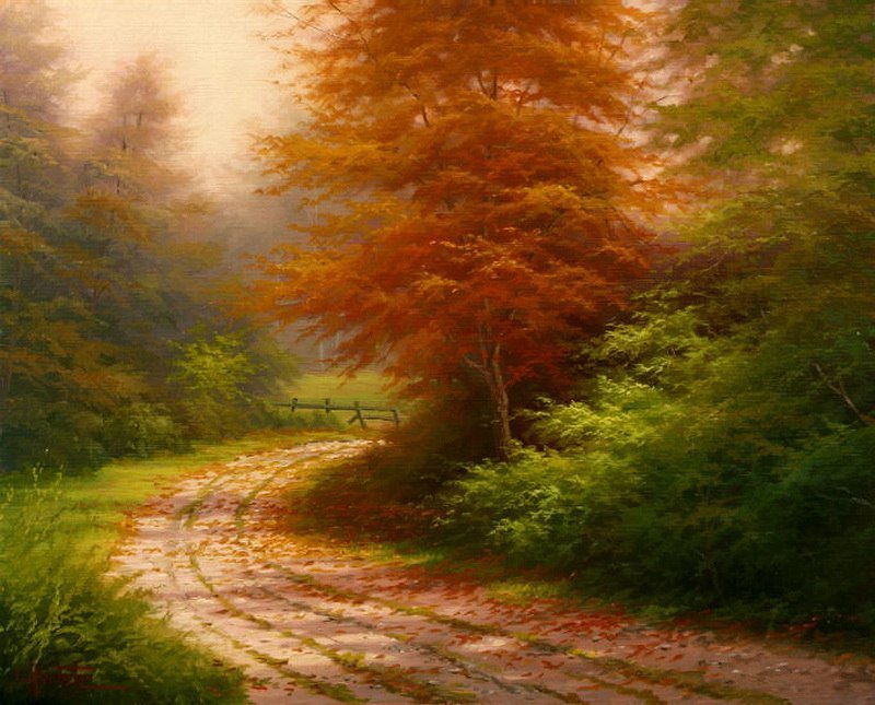 осень - природа, лес, осень - оригинал