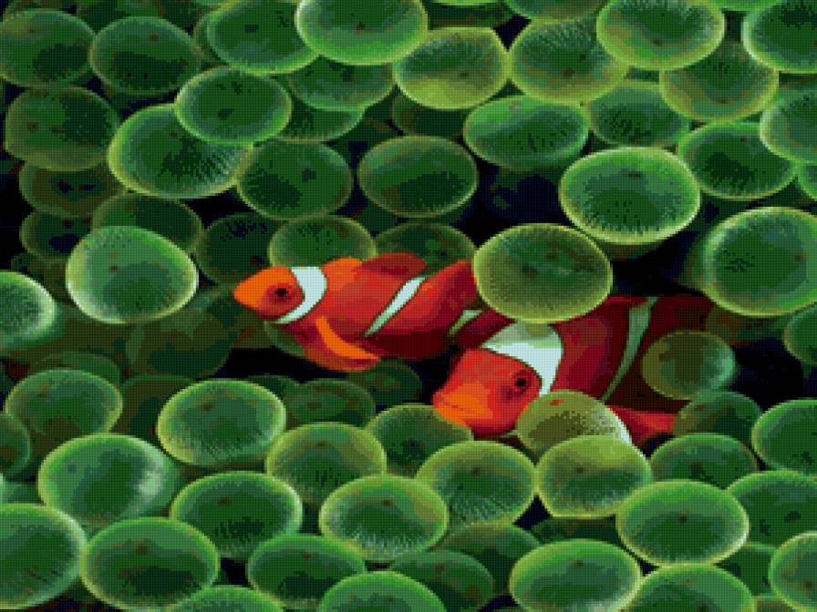 №47129 - предпросмотр