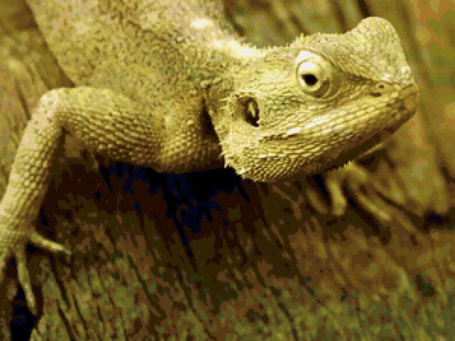 №47170 - предпросмотр