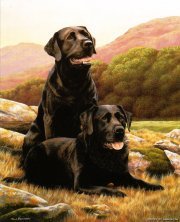 Оригинал схемы вышивки «черные собаки» (№47304)