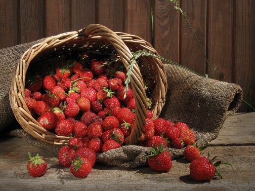 №47351 - оригинал