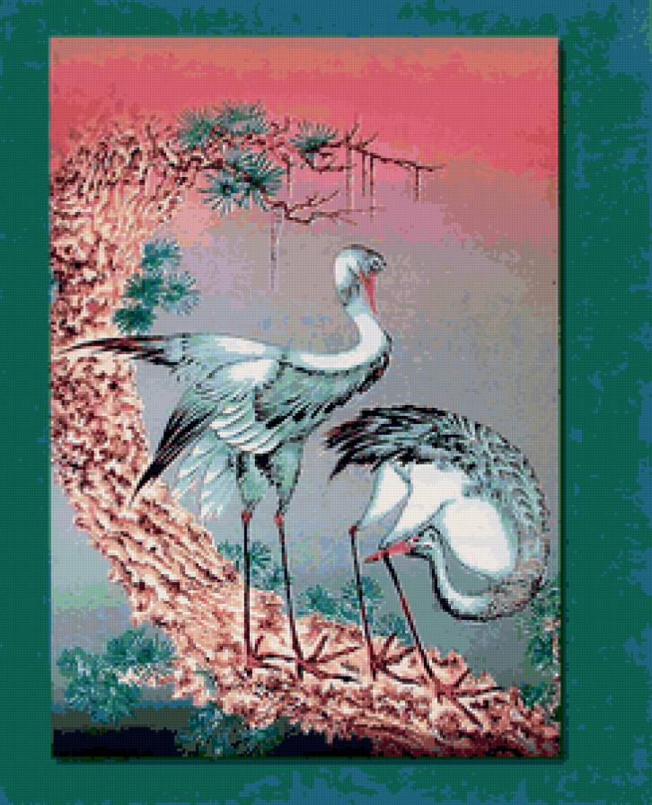 Аисты - аист, птицы - предпросмотр