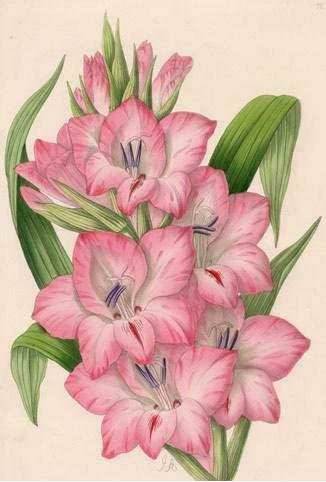 №47398 - оригинал