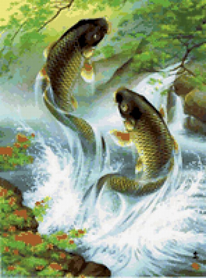 Рыбки - предпросмотр