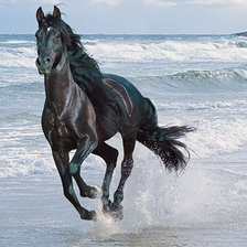 Схема вышивки «лошадь»