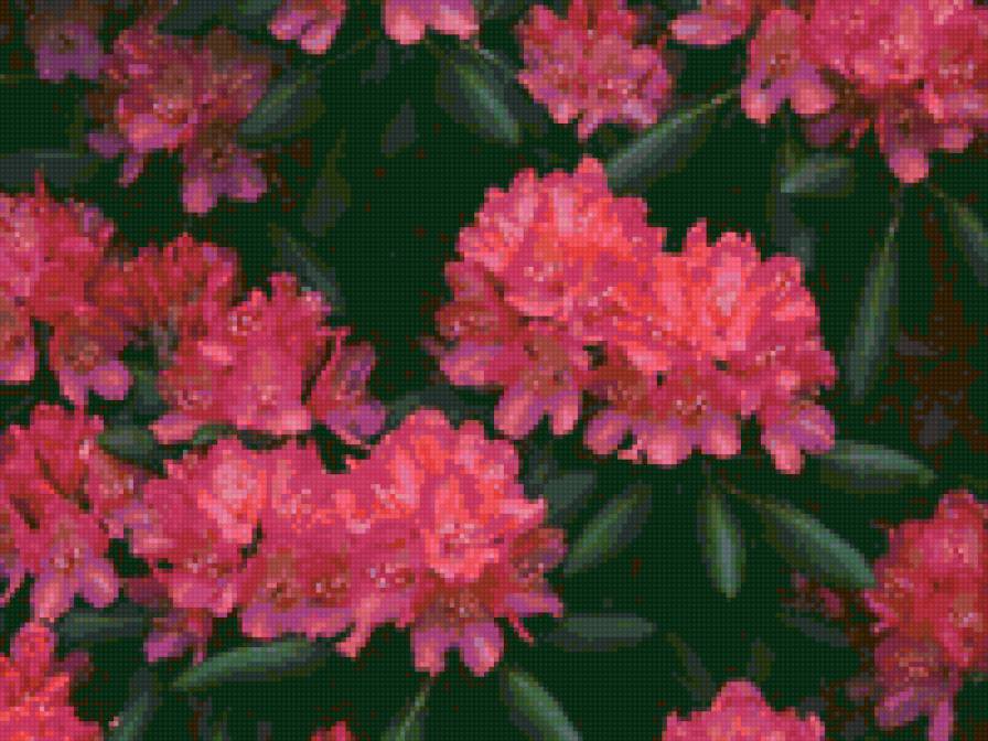 №47631 - цветы - предпросмотр