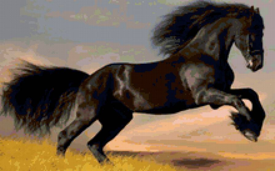 Конь - лошади - предпросмотр