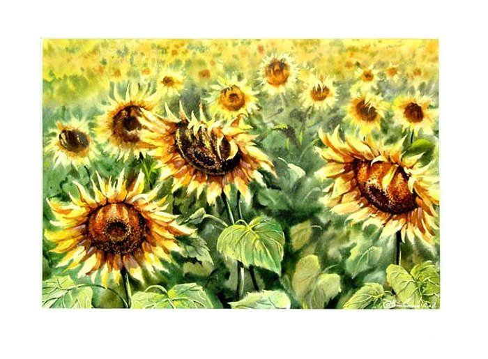 456 - цветы - оригинал