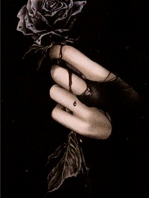Черная роза - фэнтези, цветок, готика - оригинал