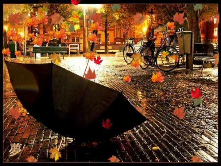 осень - дождь, улица, парк, осень - оригинал