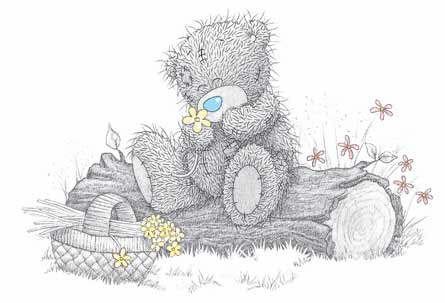 тедди - оригинал