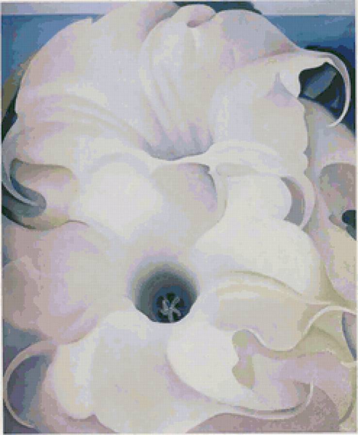 Серия "Букет" - петуния, букет, цветы - предпросмотр