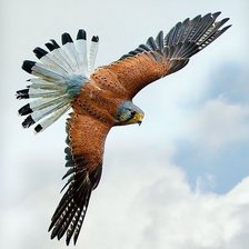 Схема вышивки «2»