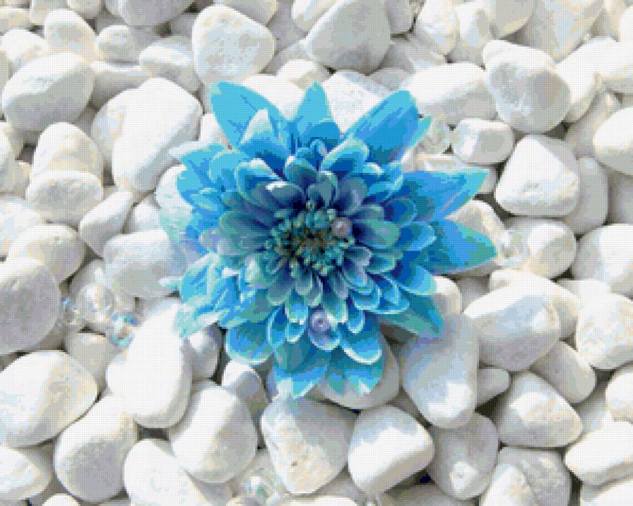 цветок - предпросмотр