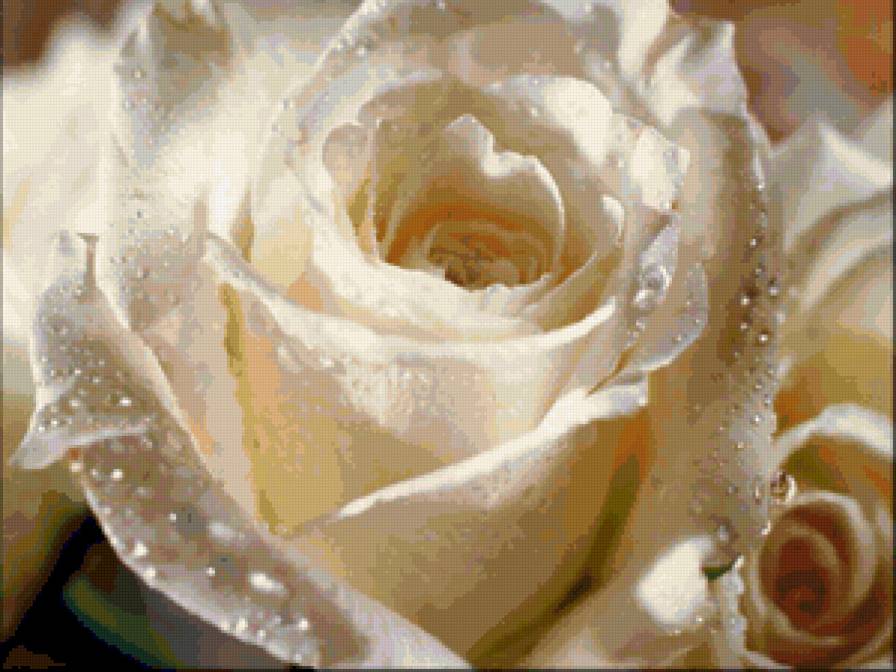 цветок - предпросмотр