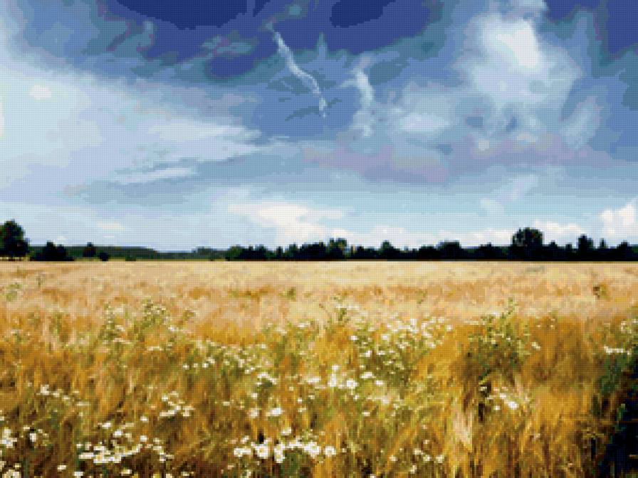 №48473 - предпросмотр