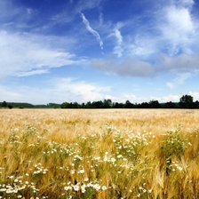 Схема вышивки «№48473»