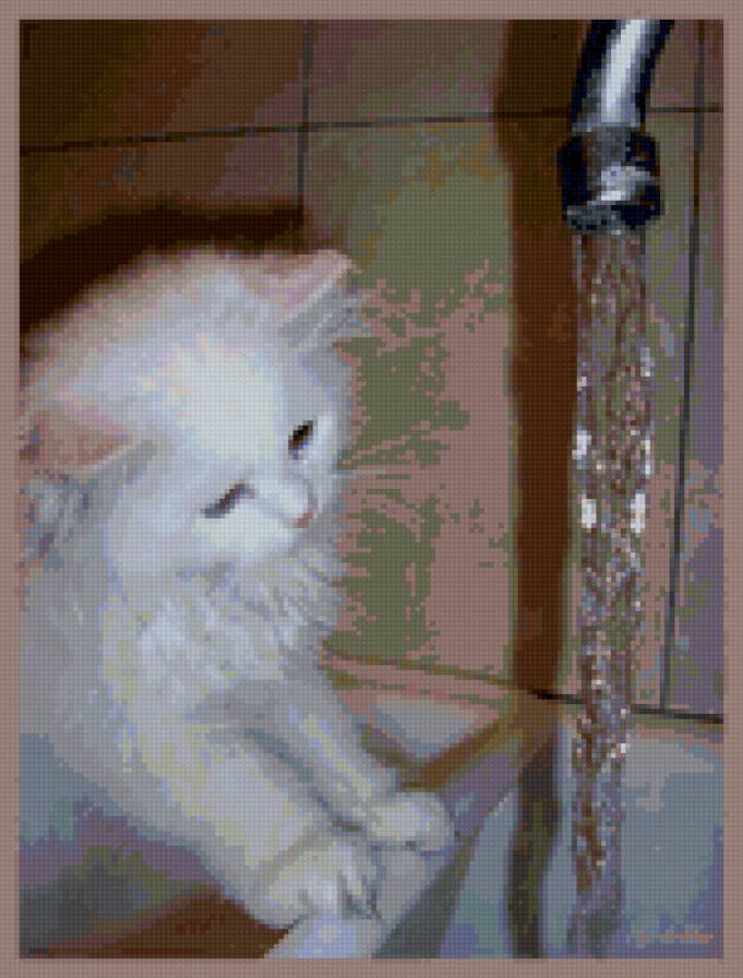 Любопытный кот - коты - предпросмотр