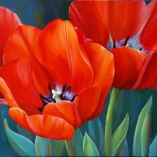 Схема вышивки «Цветы»