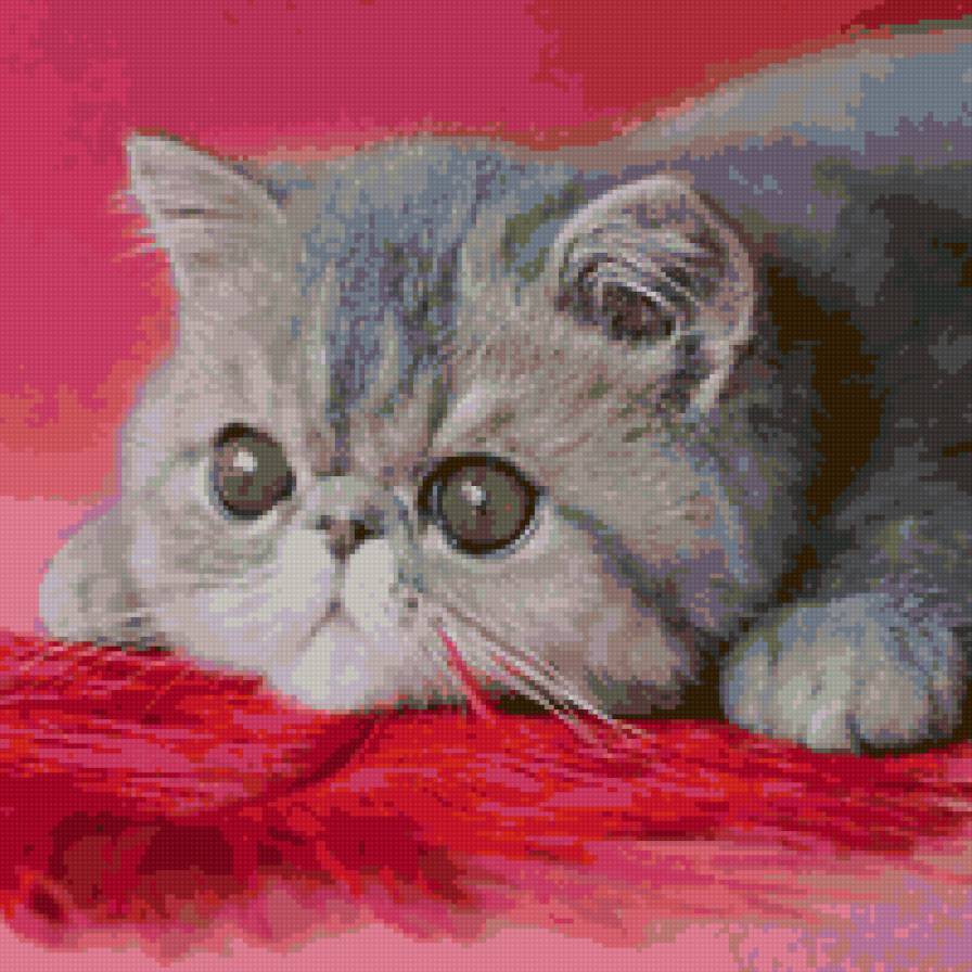 кошеня - кошки, животные - предпросмотр