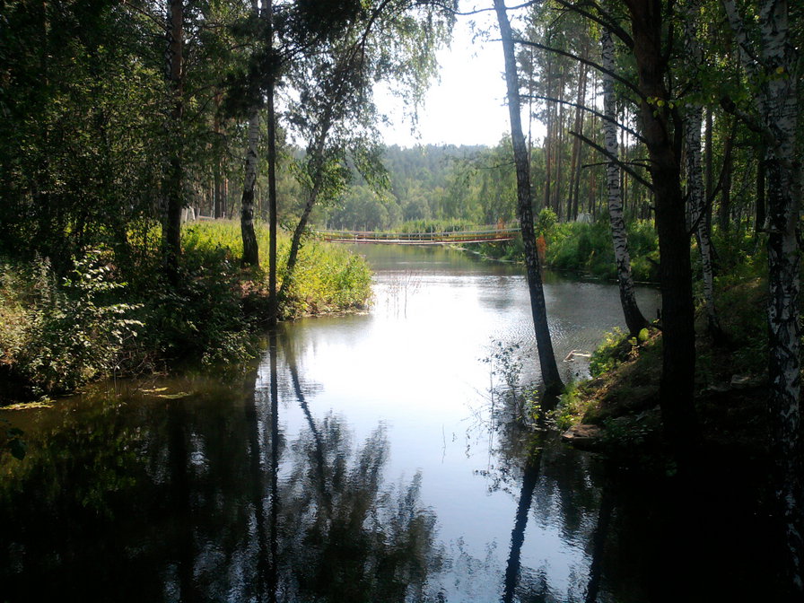 источник сертазан - оригинал