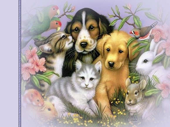 верные друзья - животные, собаки, кошки, друзья - оригинал