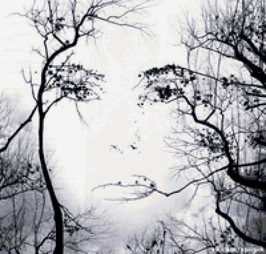 девушка - девушка - предпросмотр