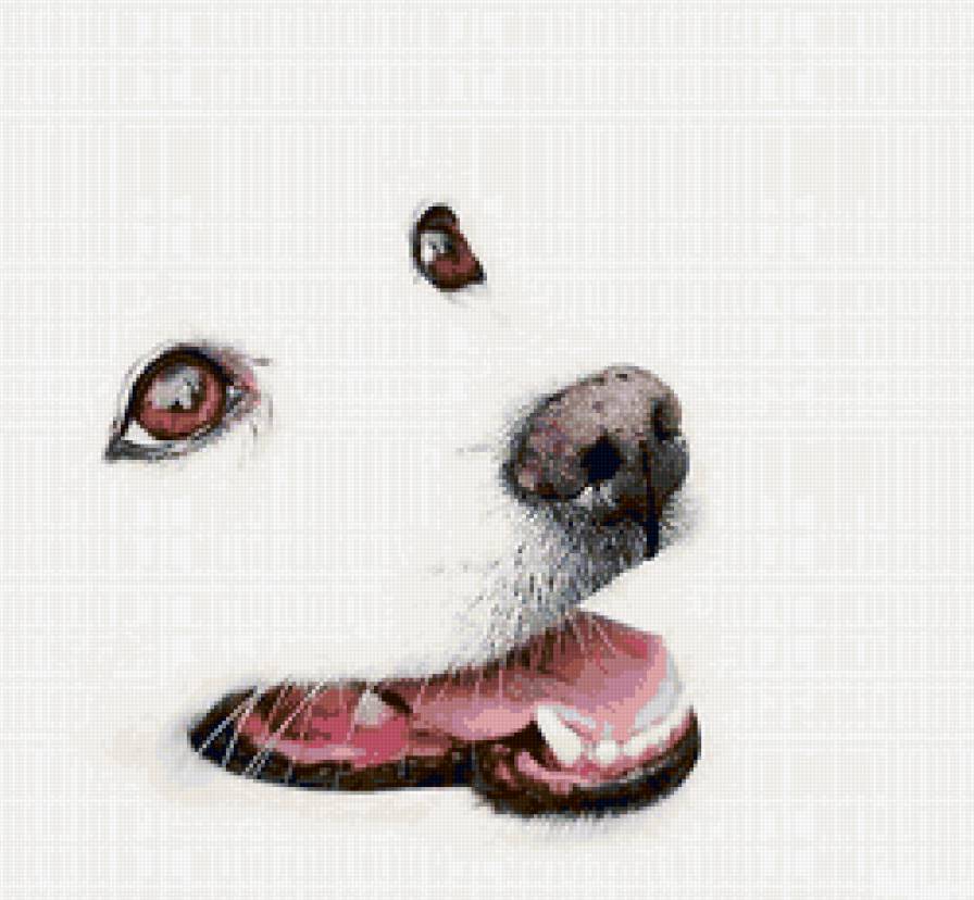 Собака - животные, живопись, собака - предпросмотр