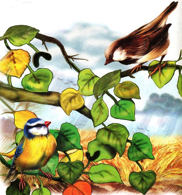 Птички - иллюстрации, птицы, птички, осень, синичка, дерево, природа - оригинал