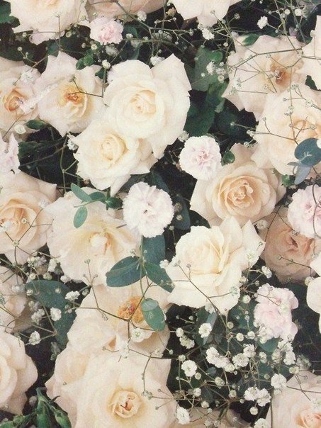 Серия "Розы" - букет, цветы, розы - оригинал