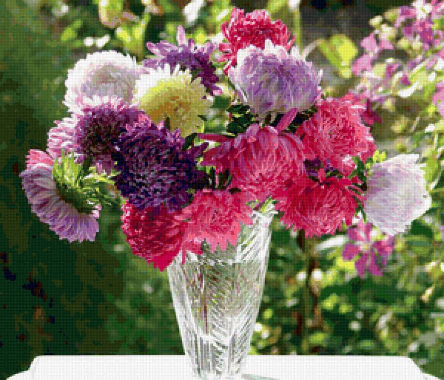 букет астр - астры, цветы - предпросмотр