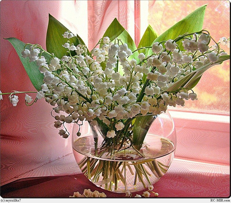 Ландыши - цветы, живопись, ваза, букет - оригинал