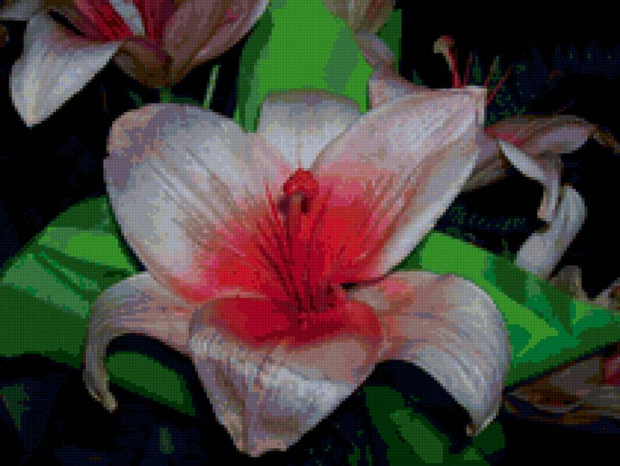 цветок - цветок - предпросмотр