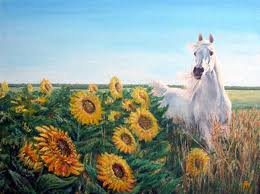 белый конь - подсолнухи, конь, природа - оригинал