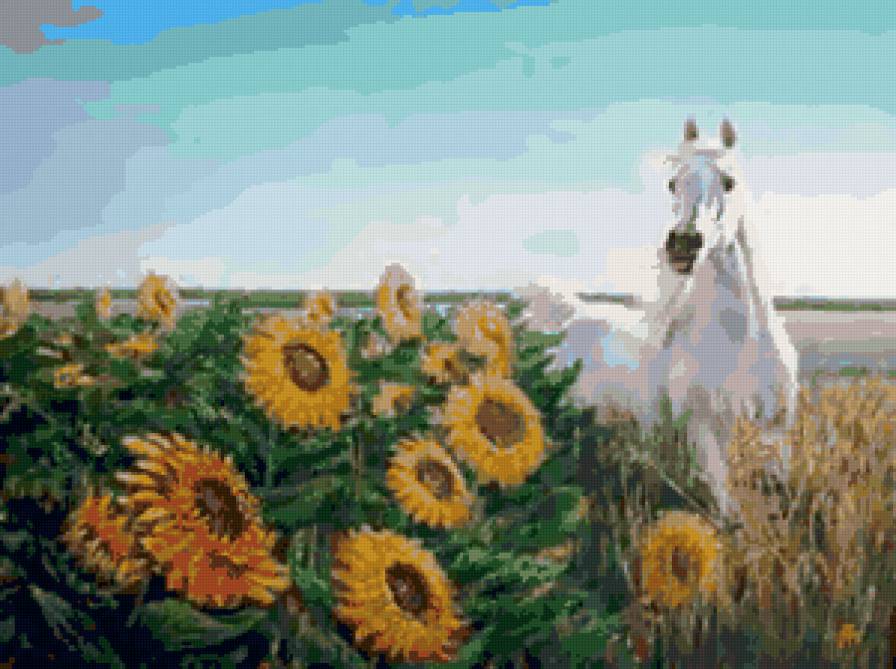 белый конь - конь, природа, подсолнухи - предпросмотр