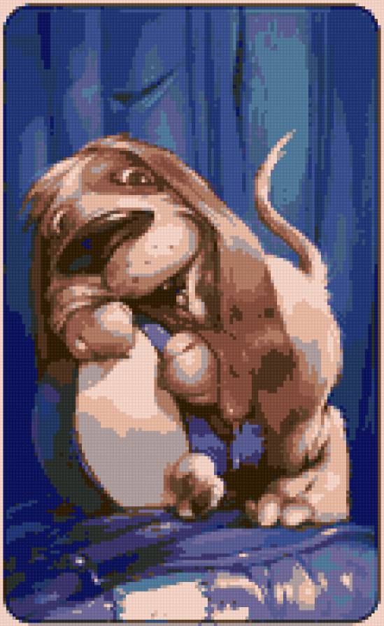 №49900 - смешное, веселое, собака - предпросмотр