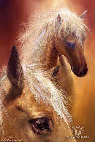 №49903 - оригинал