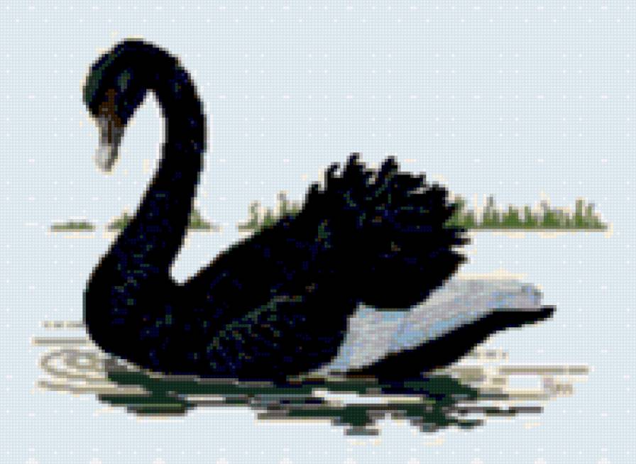 лебедь - предпросмотр