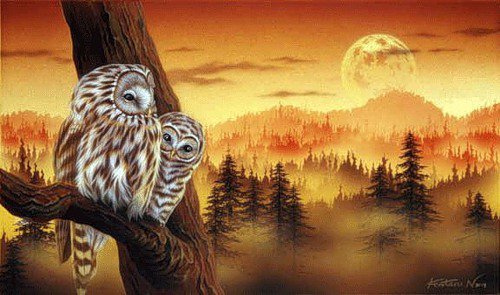 Совы на закате - пейзаж, совы, птицы, закат, филины - оригинал