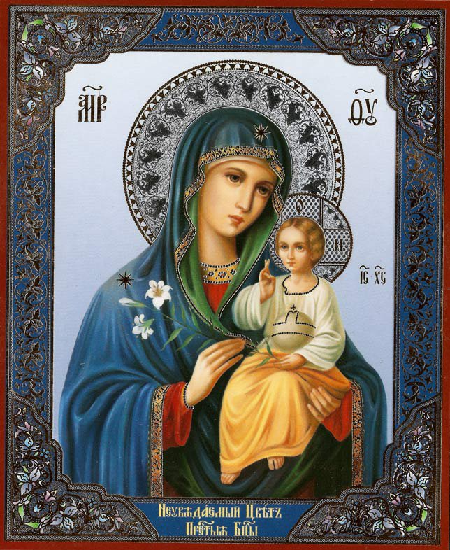 Неувядаемый цвет - иконы, икона, православные иконы, религия - оригинал